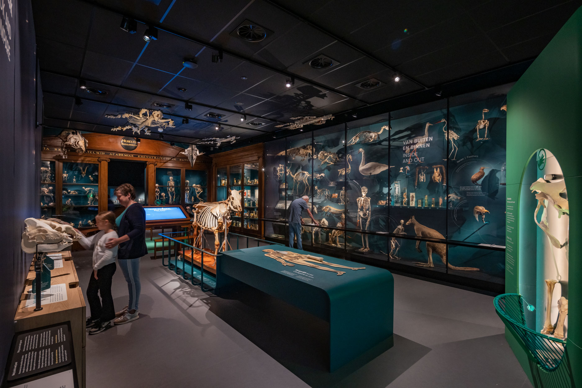 Universiteitsmuseum Utrecht, UMU, de Zwarte Hond architecten. Beeld Scagliola Brakkee