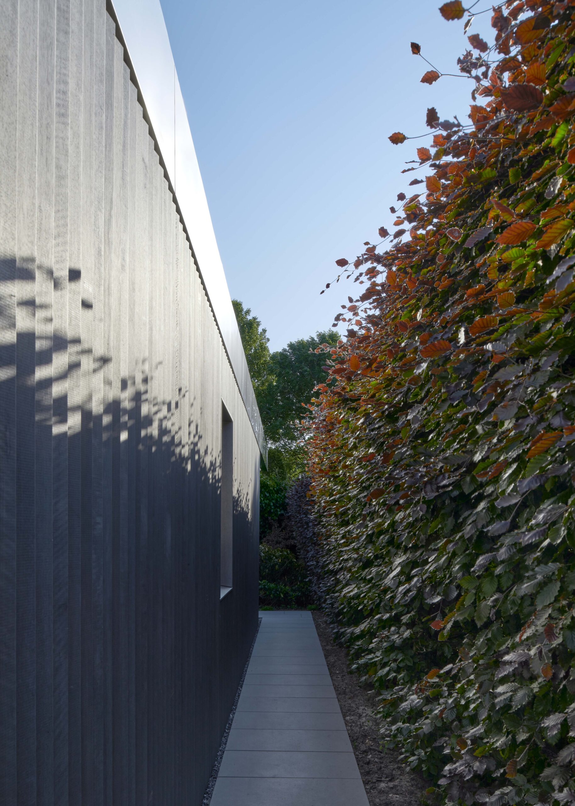 Beeld Max Hart Nibbrig