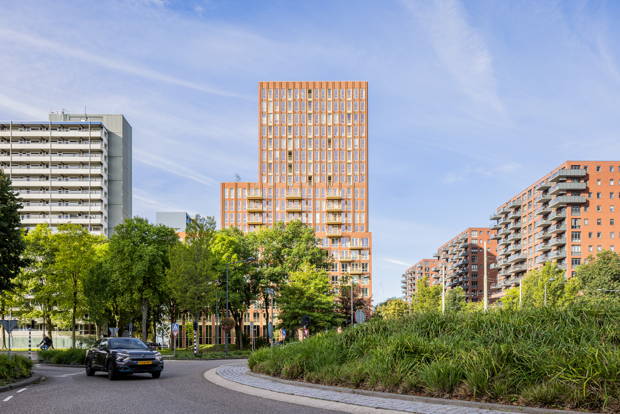 Prince of Delft. Beeld Elroy Spelbos