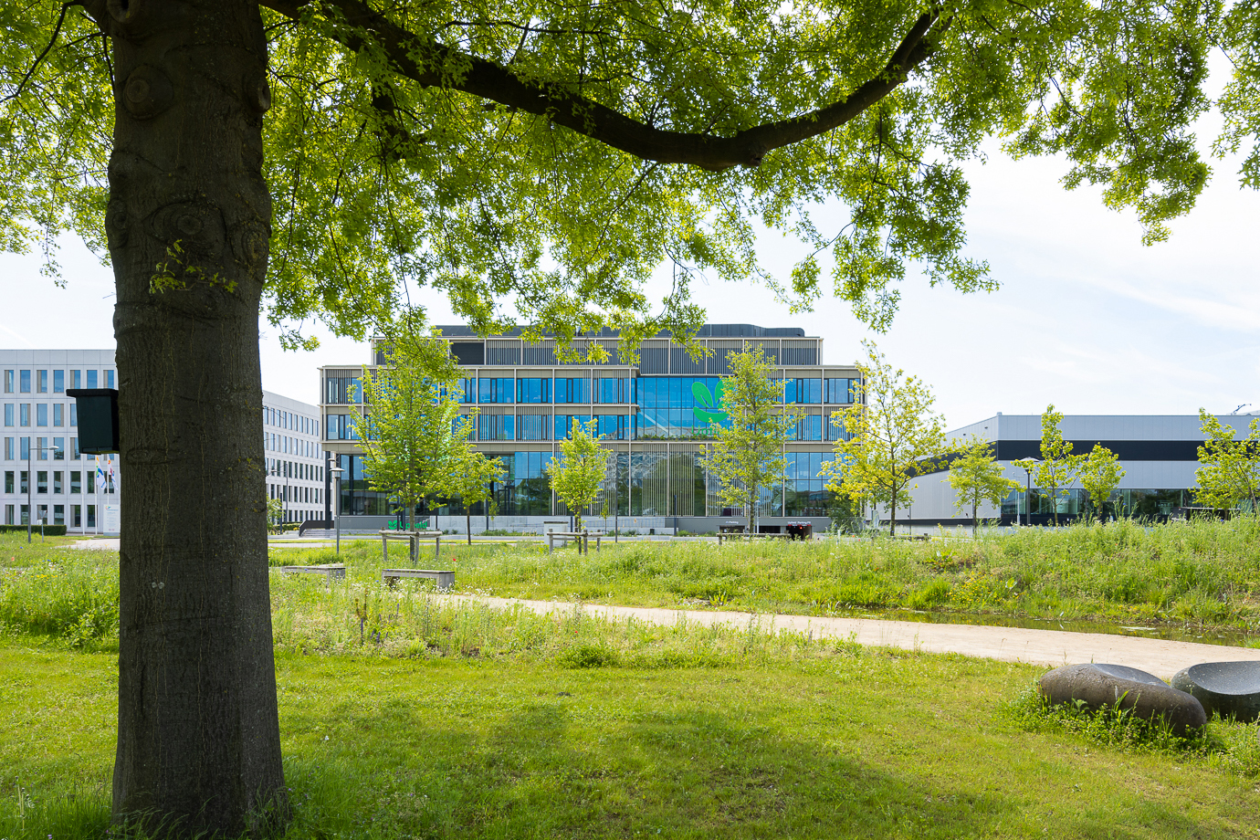 Upfield Food Centre. Beeld Stijn Poelstra