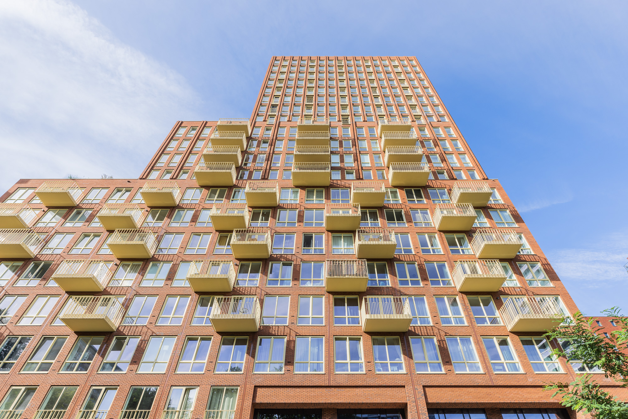 Prince of Delft. Beeld Elroy Spelbos