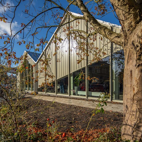 Noorddam Centrum. Beeld Arjen Hoogeveen