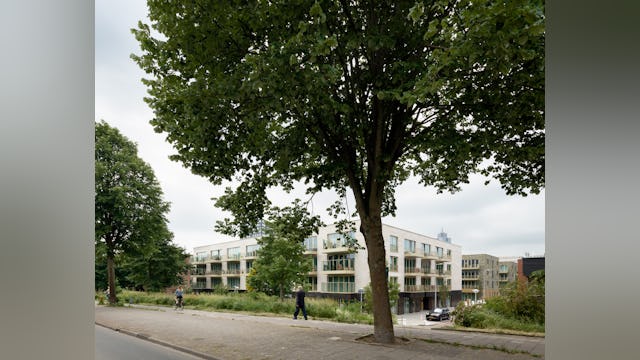 Beeld Dennis De Smet