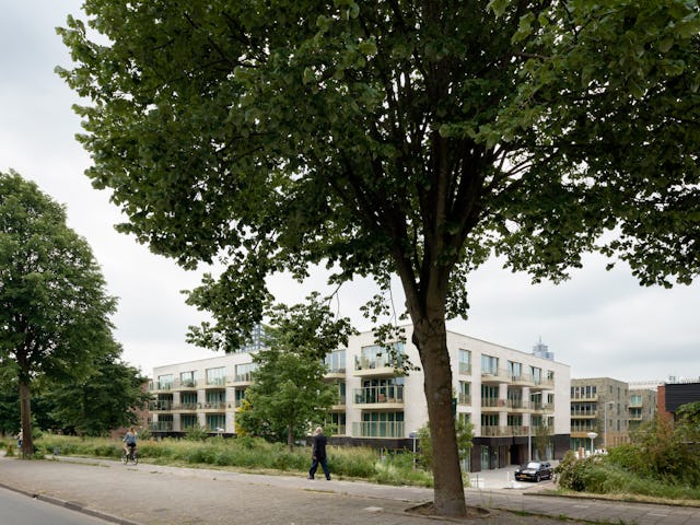 Beeld Dennis De Smet