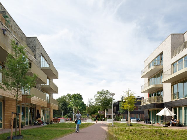 Beeld Dennis De Smet