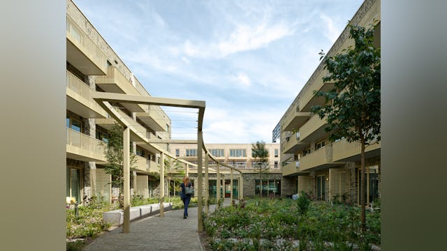 Beeld Dennis De Smet