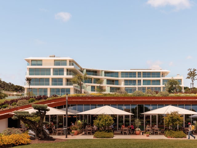 Beeld Francisco Nogueira