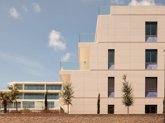 Beeld Francisco Nogueira