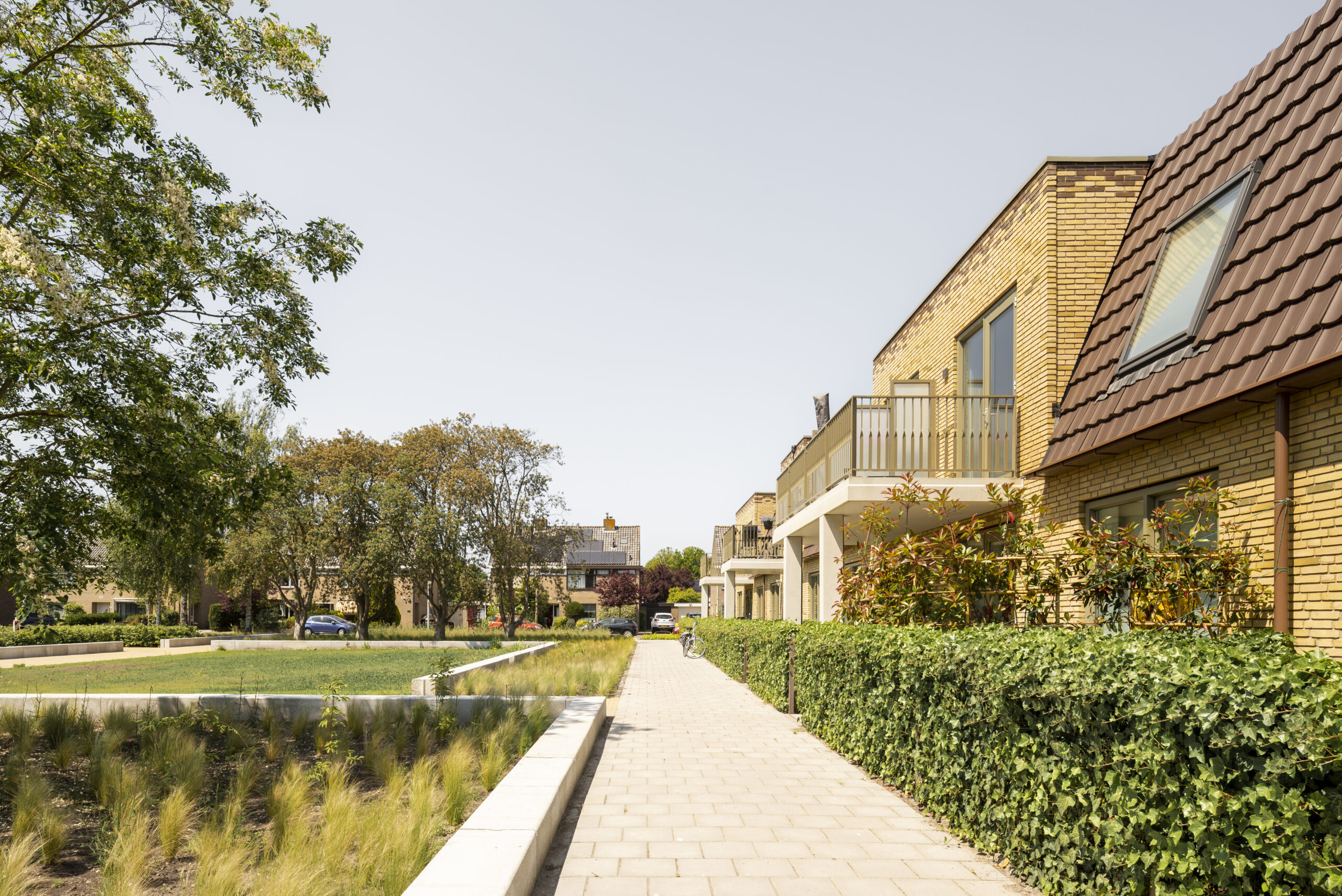 Vijfhuizen. Beeld Loes van Duijvendijk