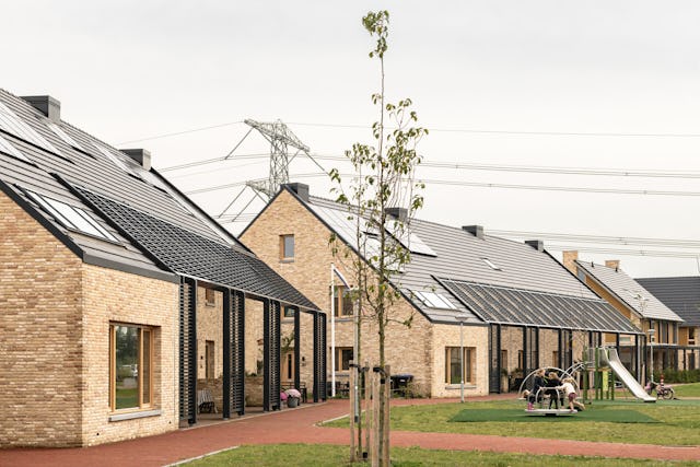 Beeld Sebastian van Damme