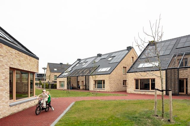 Beeld Sebastian van Damme