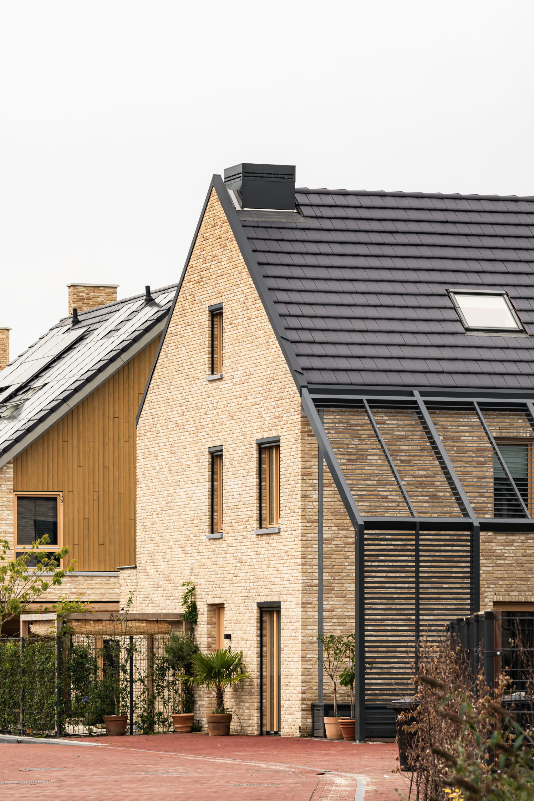 Beeld Sebastian van Damme