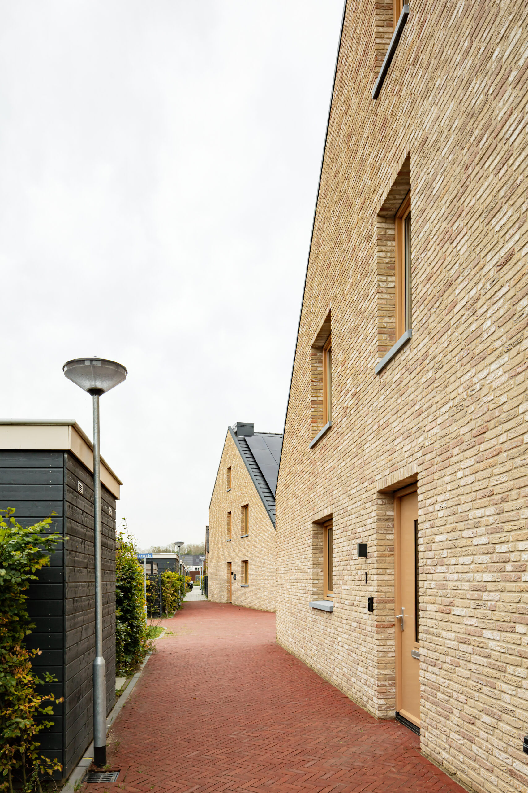 Beeld Sebastian van Damme