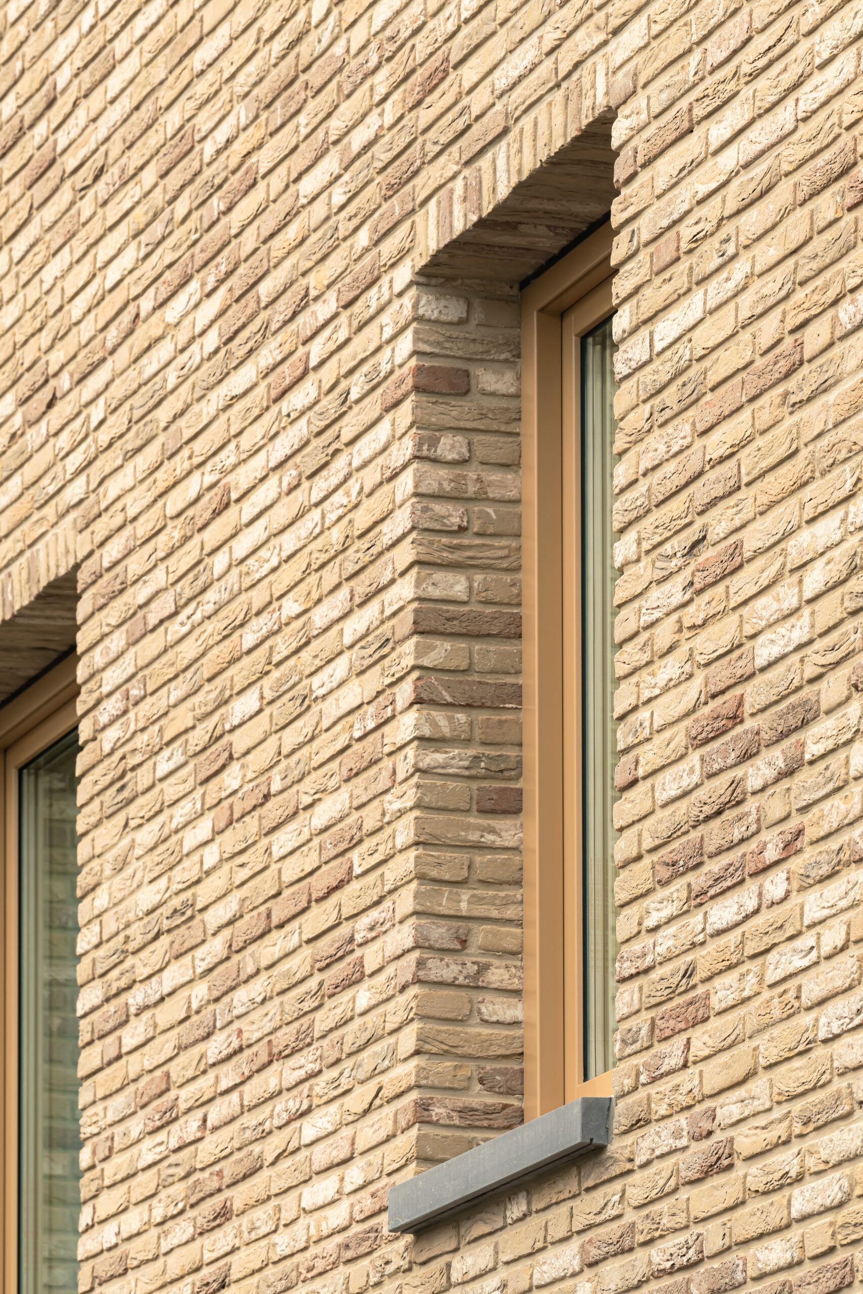 Beeld Sebastian van Damme