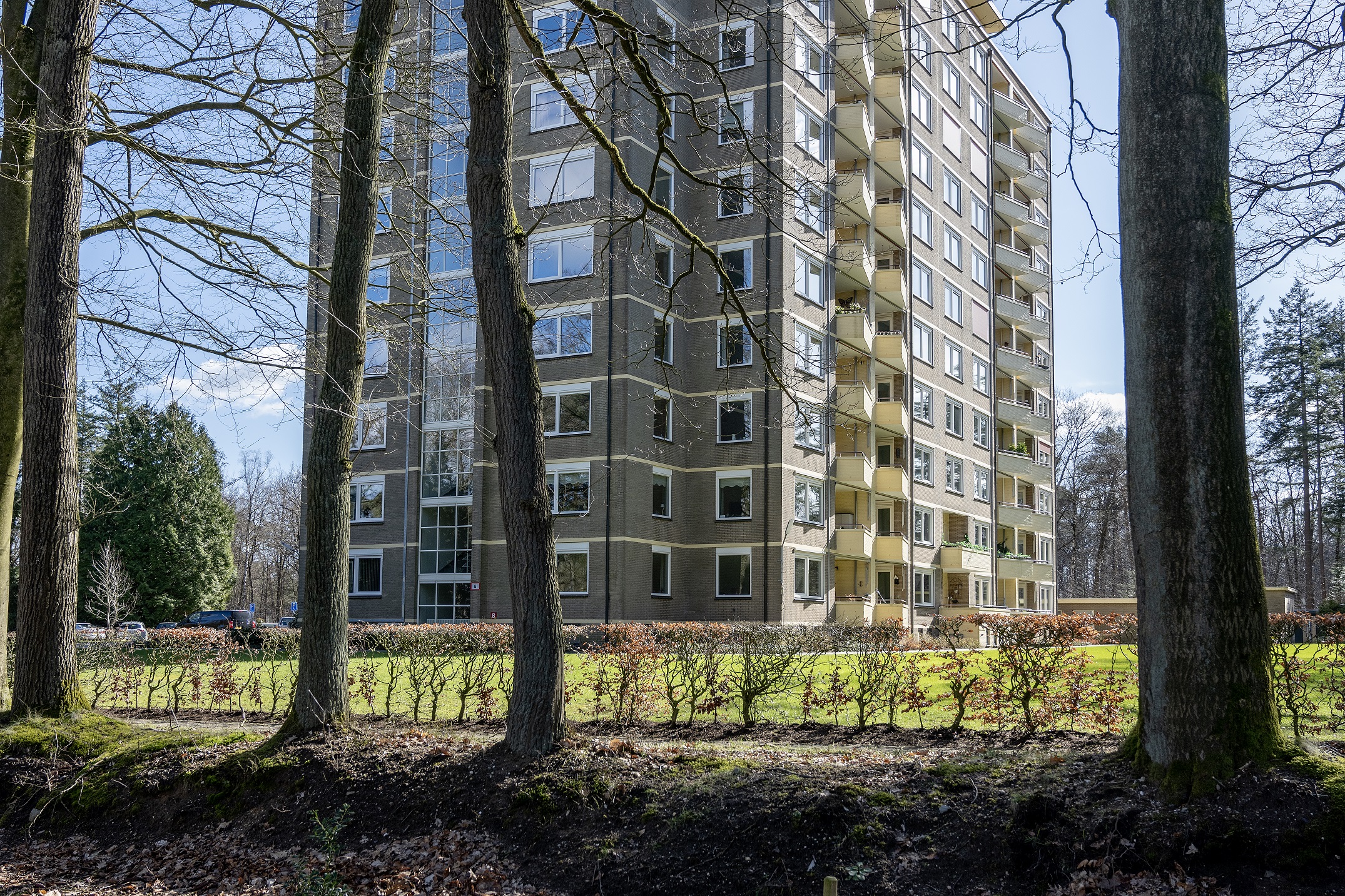 VvE parkflat Arendsburght verduurzaamd met subsidie