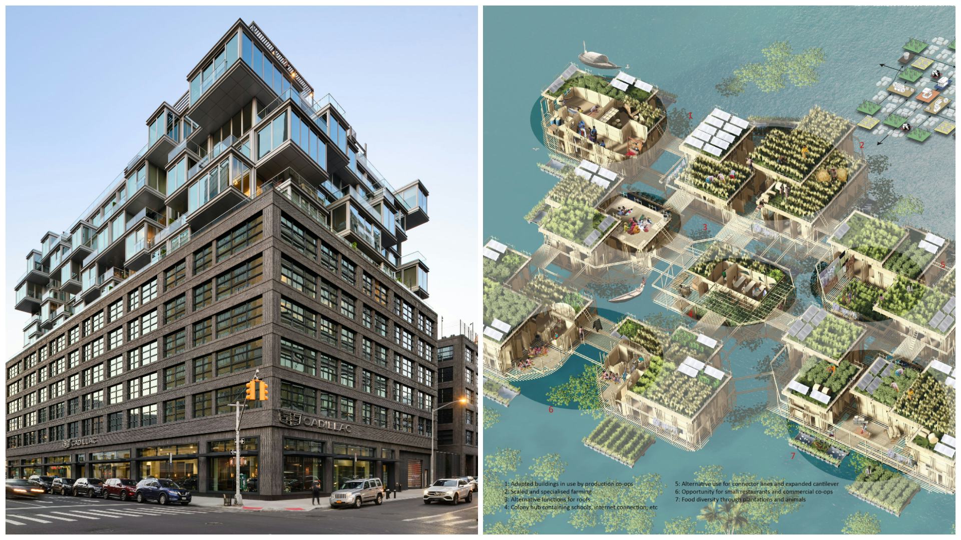 The West in New York en Microcolonies in Bangladesh.