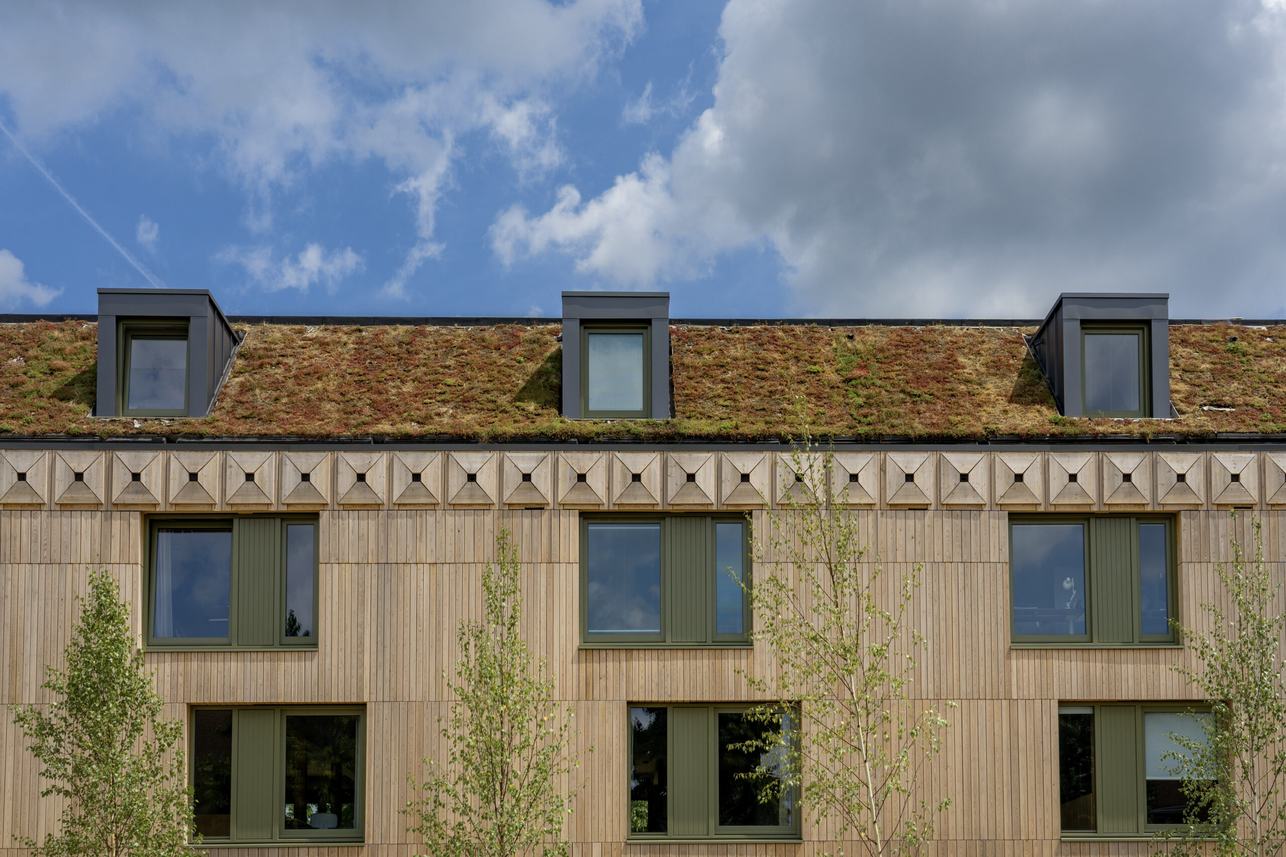 Dak. Beeld Maarten van Apeldoorn