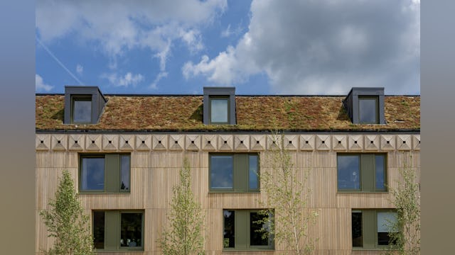 Dak. Beeld Maarten van Apeldoorn