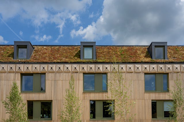 Dak. Beeld Maarten van Apeldoorn