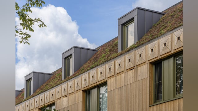 Nestkasten, groen dak. Beeld Maarten van Apeldoorn