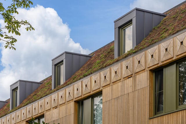 Nestkasten, groen dak. Beeld Maarten van Apeldoorn