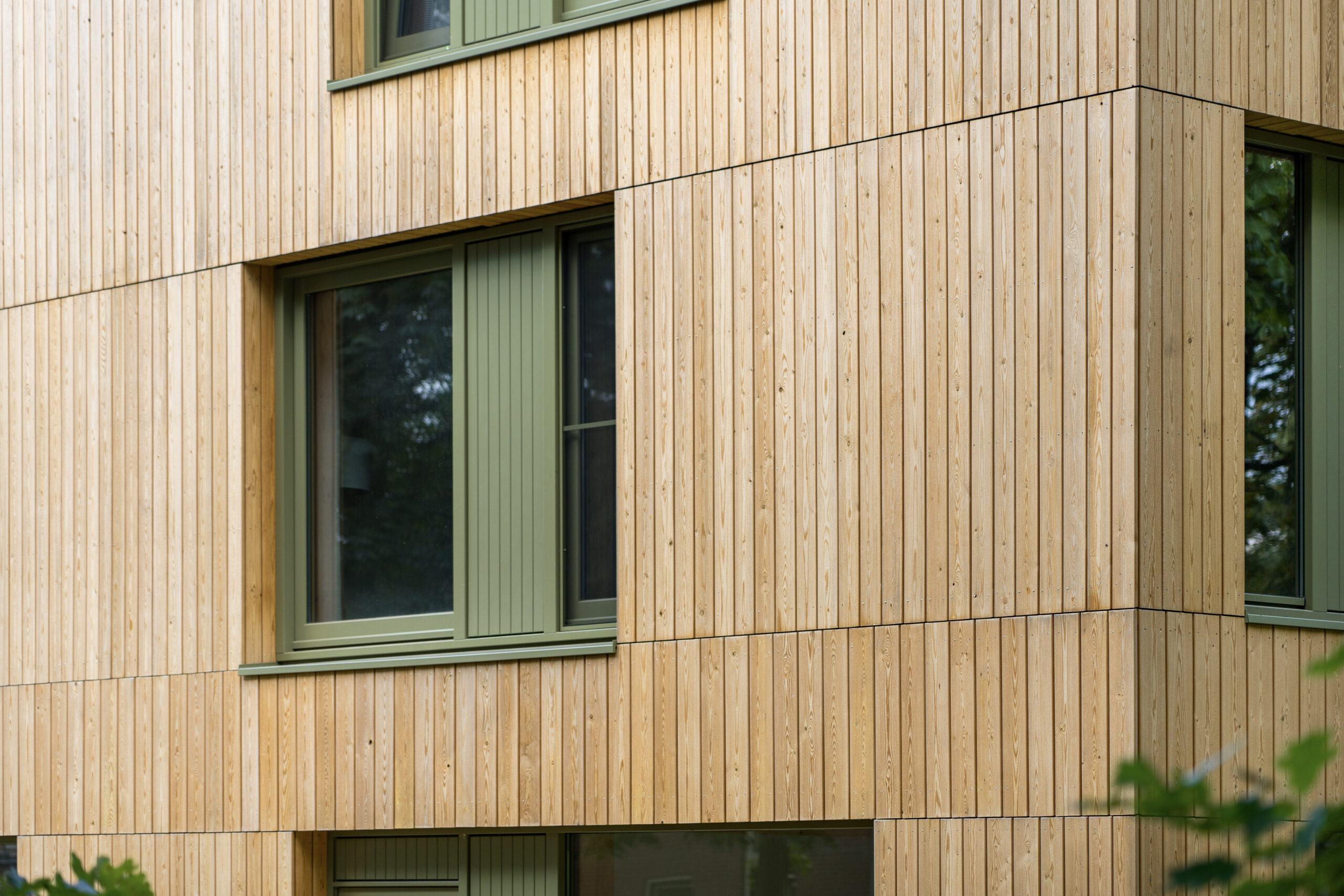 Puihout. Beeld Maarten van Apeldoorn