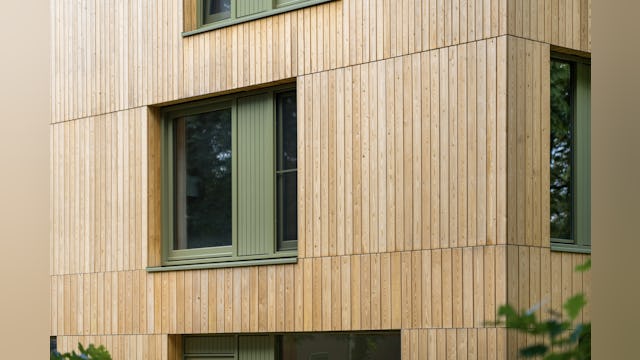 Puihout. Beeld Maarten van Apeldoorn