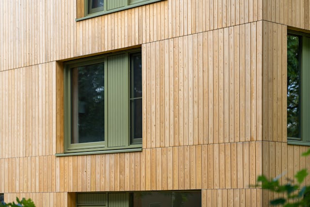 Puihout. Beeld Maarten van Apeldoorn