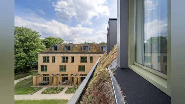 Zicht vanuit het dakraam.Beeld Maarten van Apeldoorn