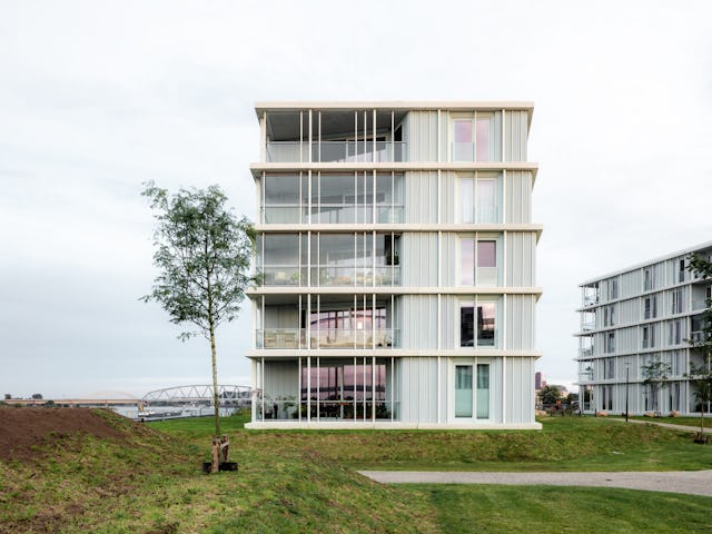 Beeld Sebastian van Damme