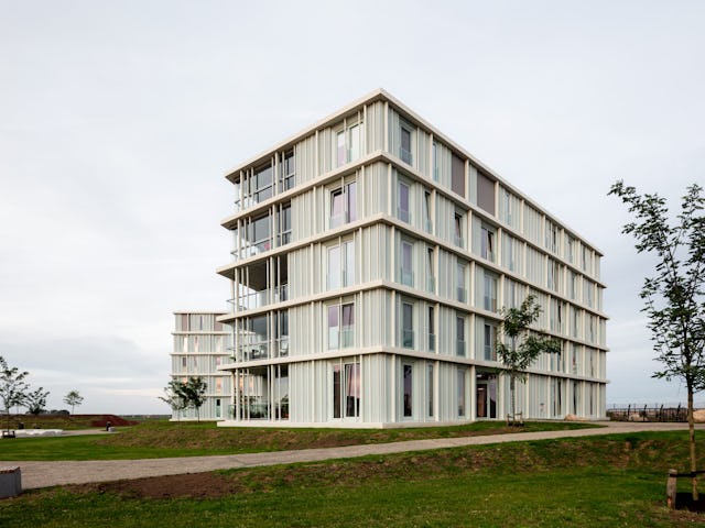 Beeld Sebastian van Damme