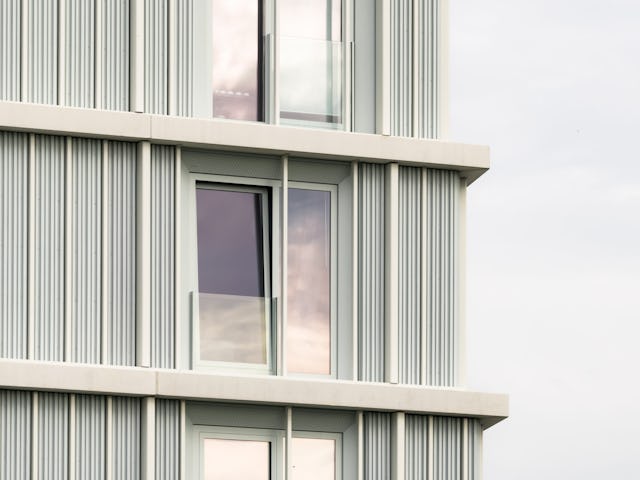 Beeld Sebastian van Damme