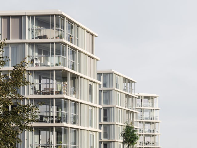 Beeld Sebastian van Damme