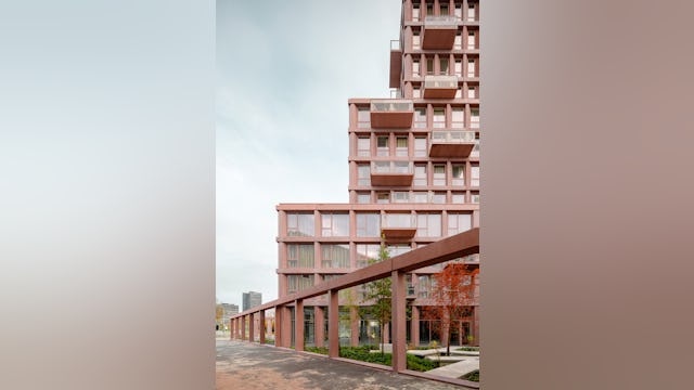 Beeld Sebastian van Damme