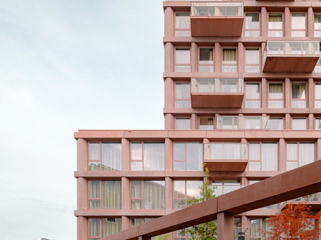 Beeld Sebastian van Damme