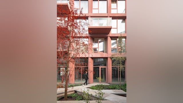 Beeld Sebastian van Damme