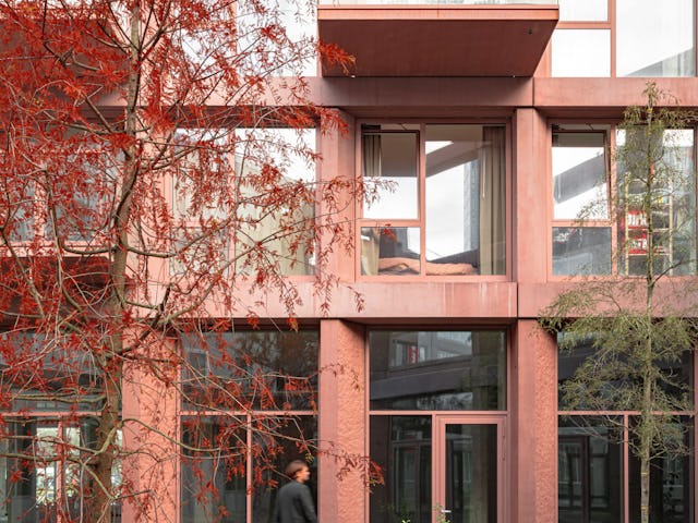 Beeld Sebastian van Damme