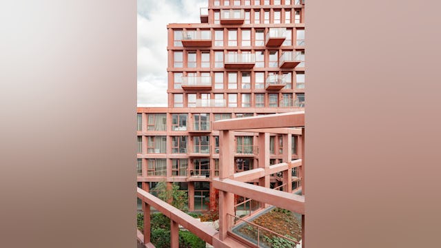 Beeld Sebastian van Damme