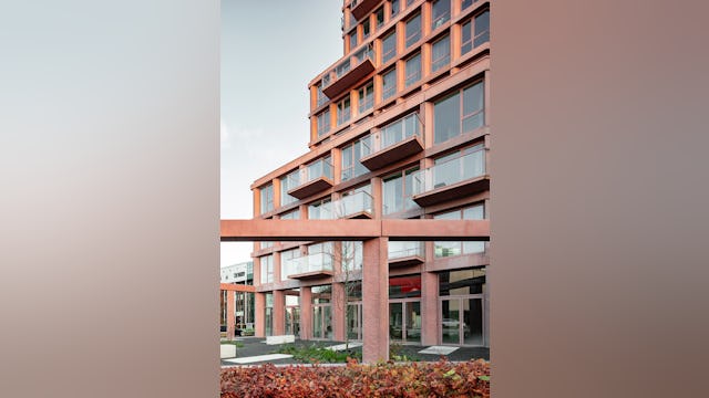 Beeld Sebastian van Damme