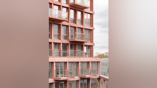 Beeld Sebastian van Damme