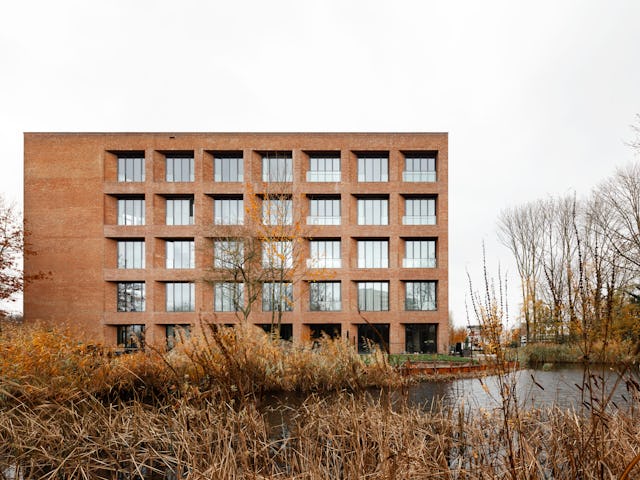 Beeld Sebastian van Damme