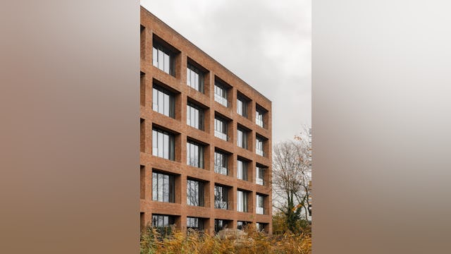 Beeld Sebastian van Damme