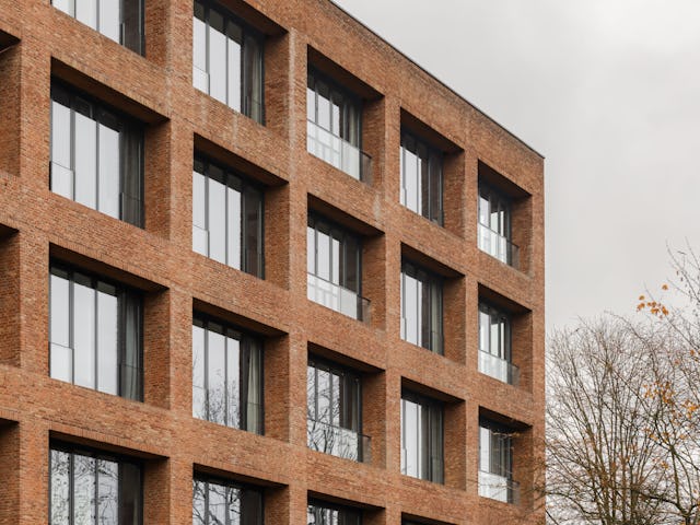 Beeld Sebastian van Damme