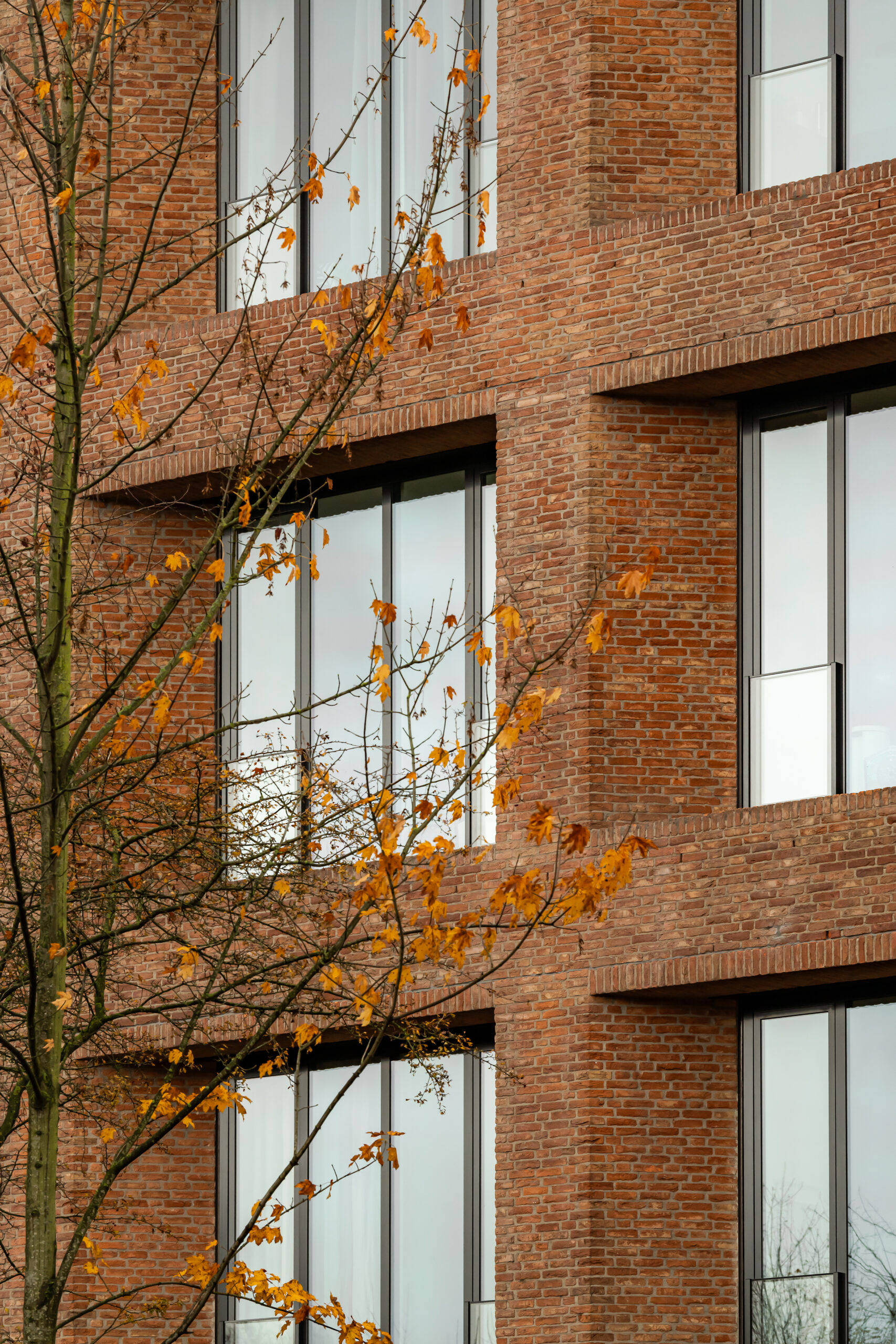 Beeld Sebastian van Damme