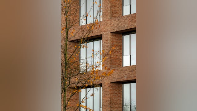 Beeld Sebastian van Damme