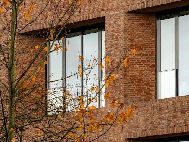 Beeld Sebastian van Damme