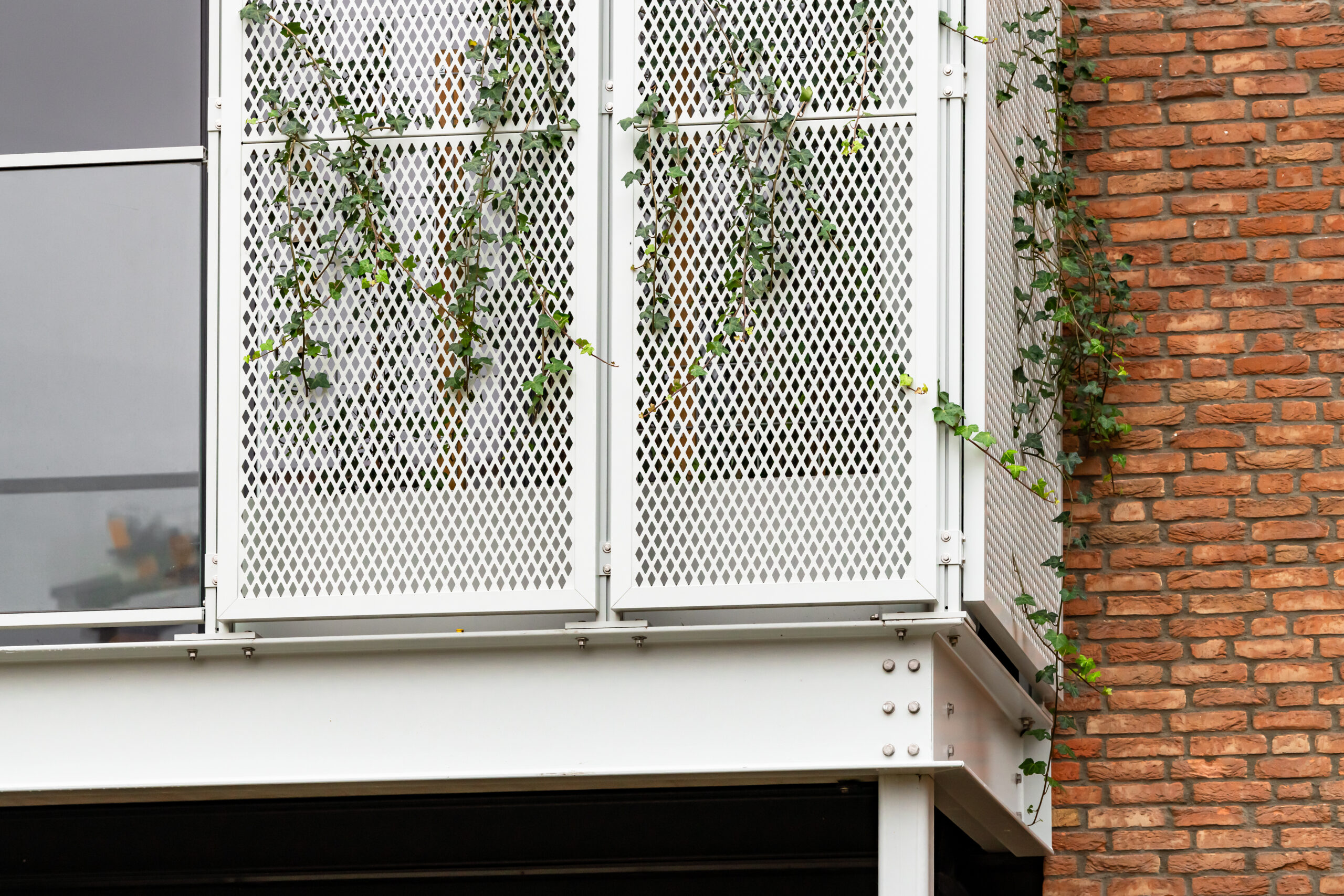 Beeld Sebastian van Damme