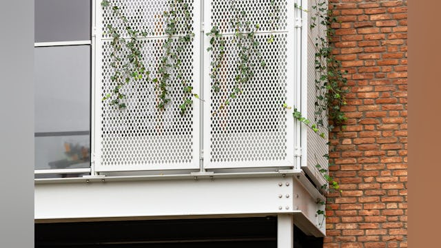 Beeld Sebastian van Damme