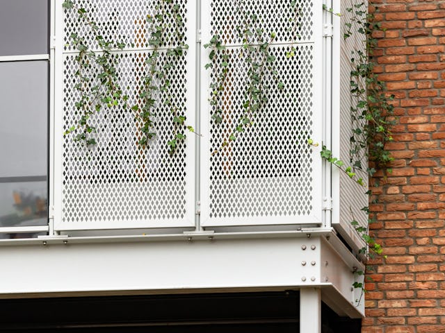 Beeld Sebastian van Damme