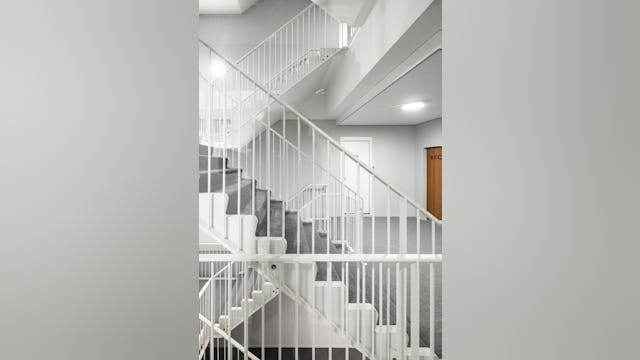 Beeld Sebastian van Damme